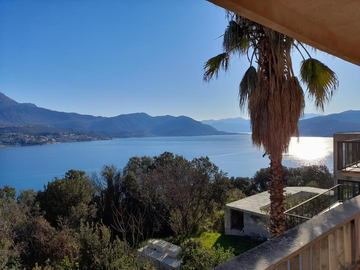 Villa Garden Apartments Herceg Novi Ngoại thất bức ảnh