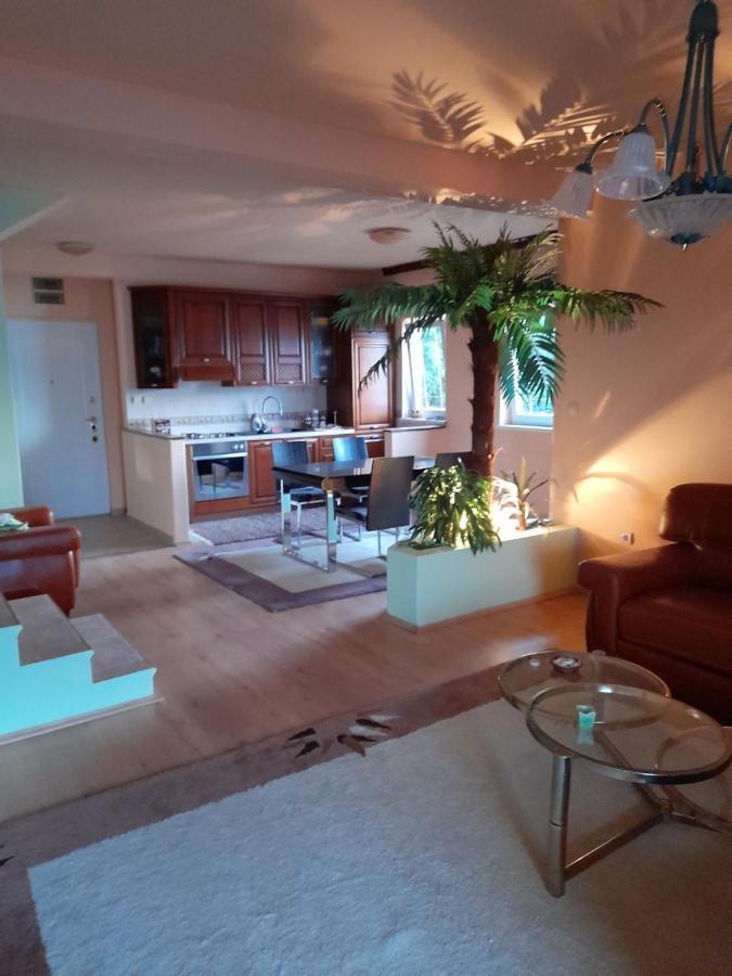 Villa Garden Apartments Herceg Novi Ngoại thất bức ảnh